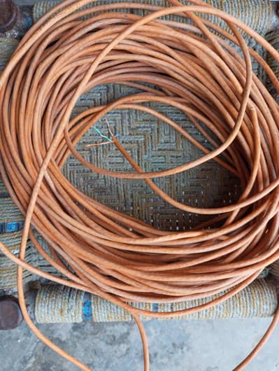 cat 6 networking cable