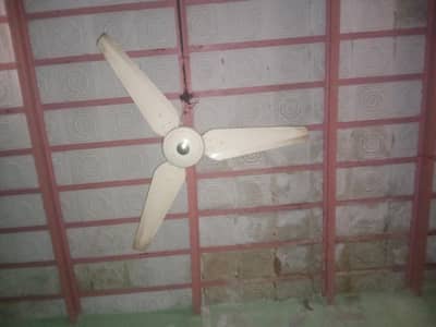 fan urgent sell