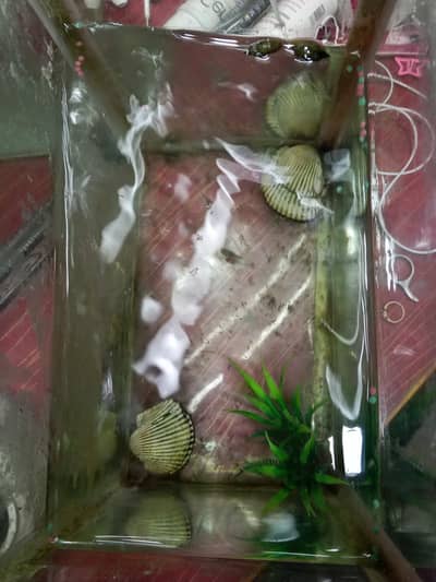 aquarium all ok condition 10 by 10