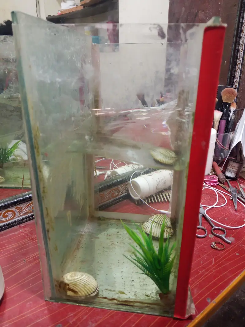 aquarium all ok condition 10 by 10 — photo 2