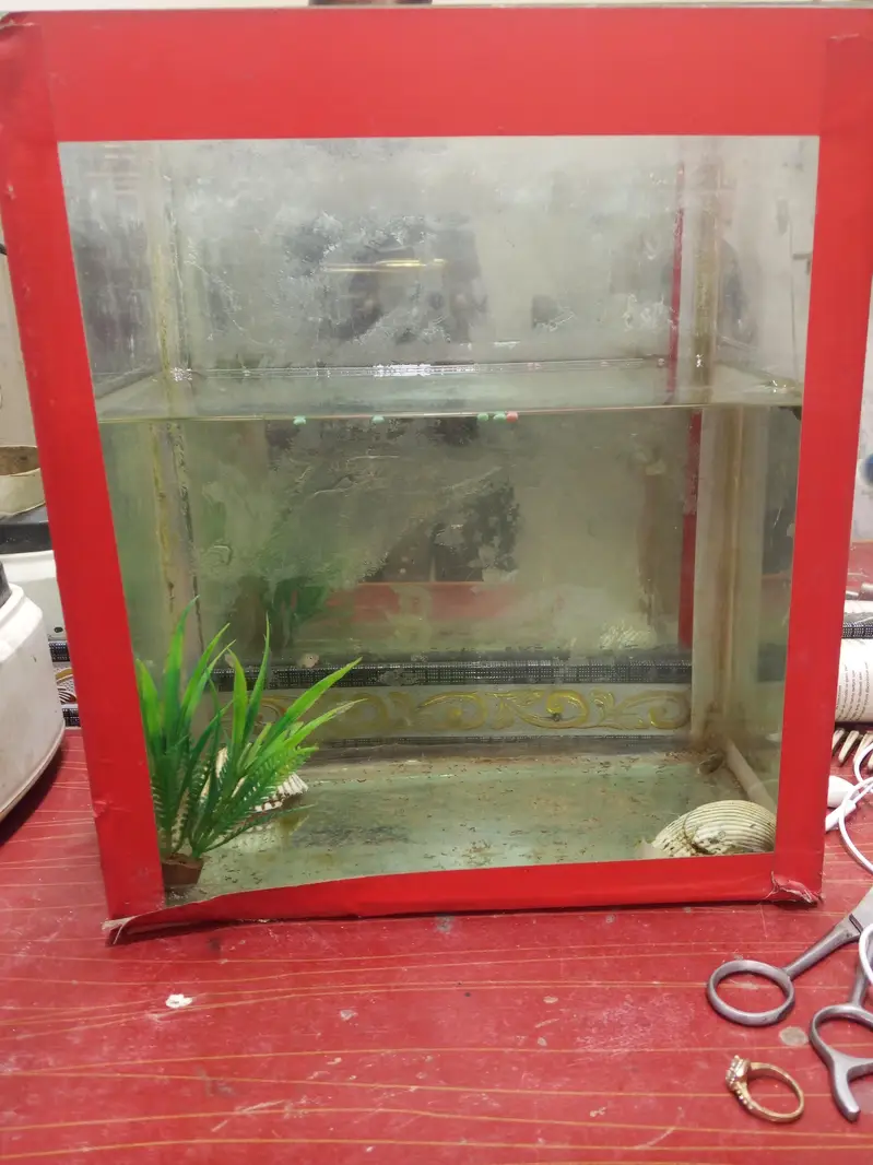 aquarium all ok condition 10 by 10 — photo 3