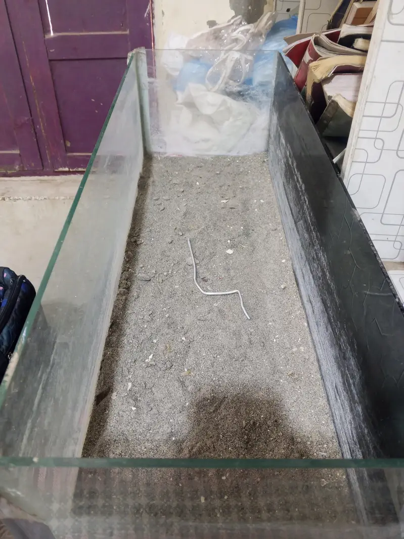 aquarium all ok condition 10 by 10 — photo 4