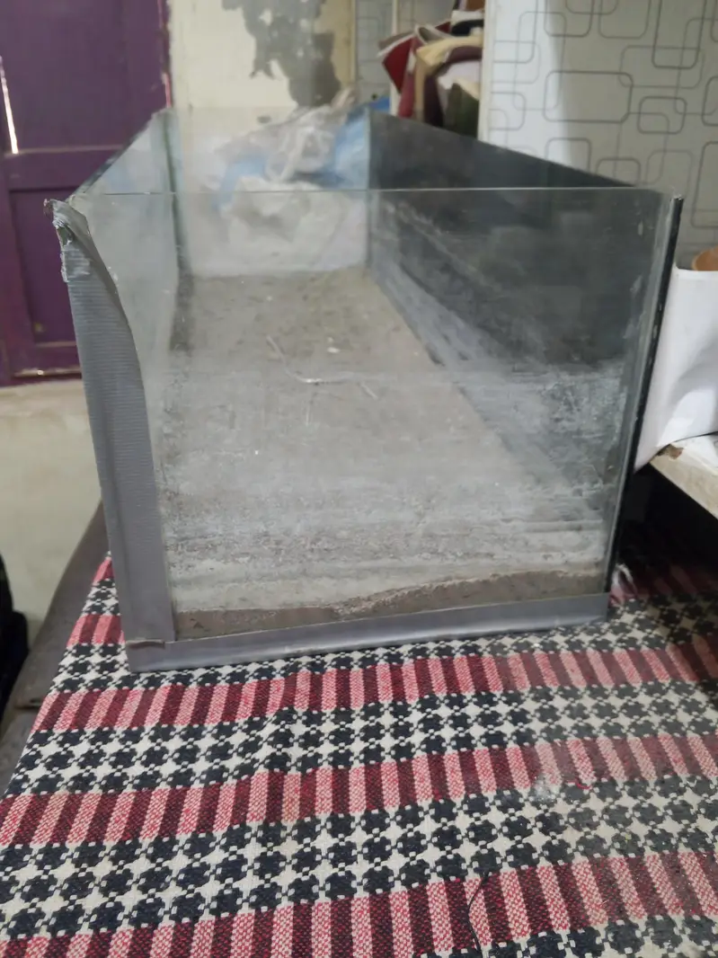 aquarium all ok condition 10 by 10 — photo 5