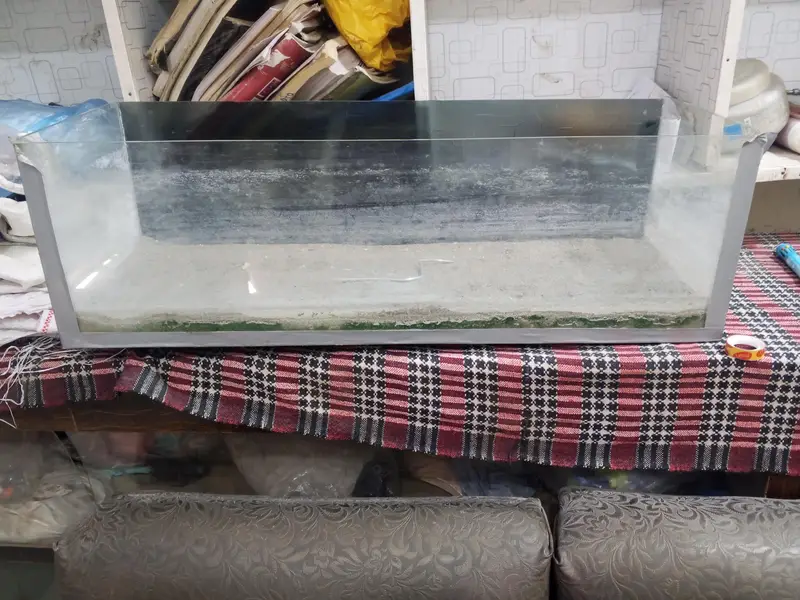 aquarium all ok condition 10 by 10 — photo 6