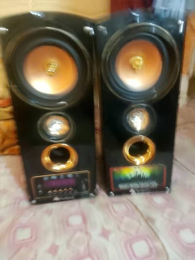 Audionic Wall Mounted Speakers – Powerful Sound – Good Condition