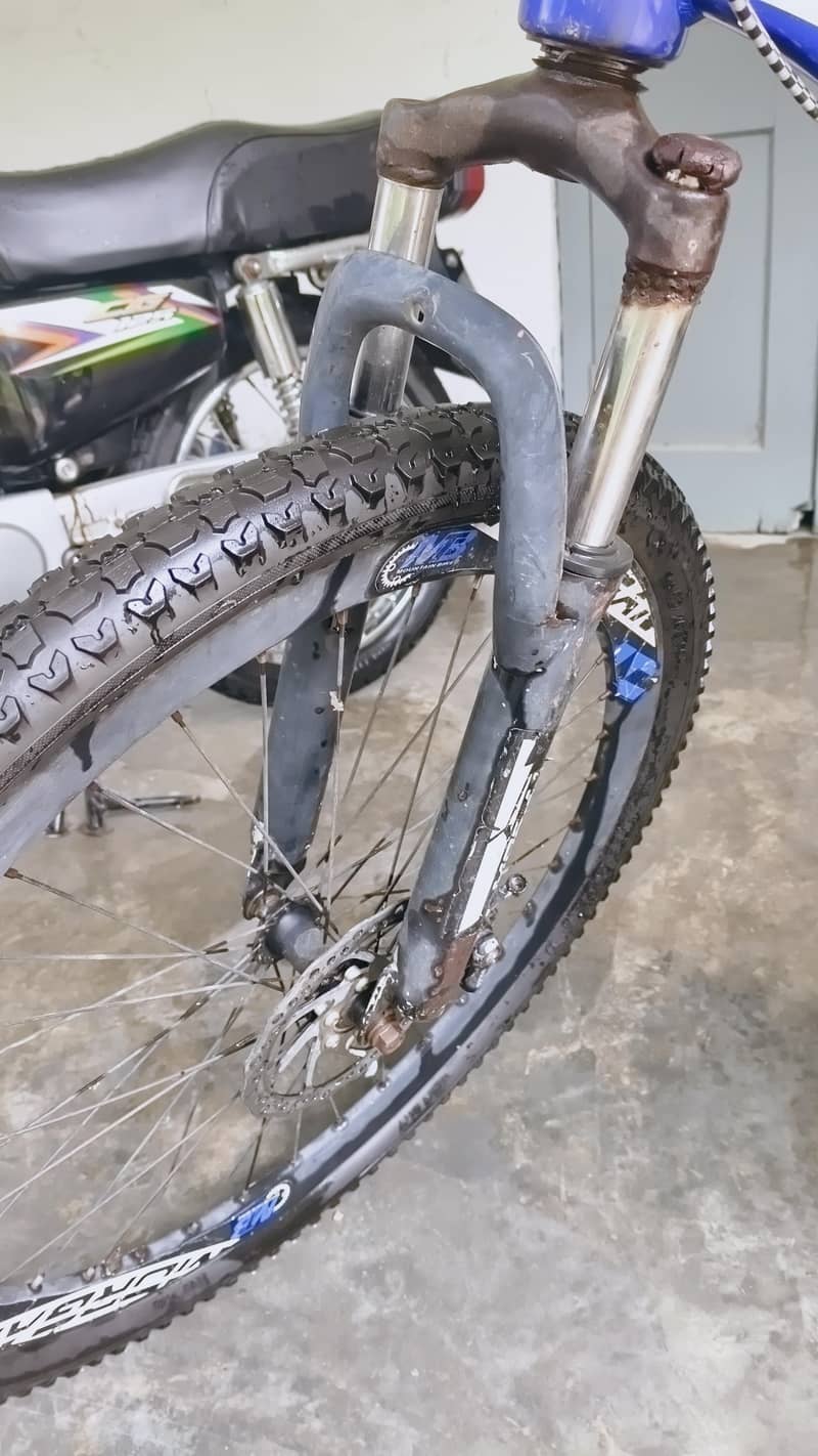 Morgan Cycle 4