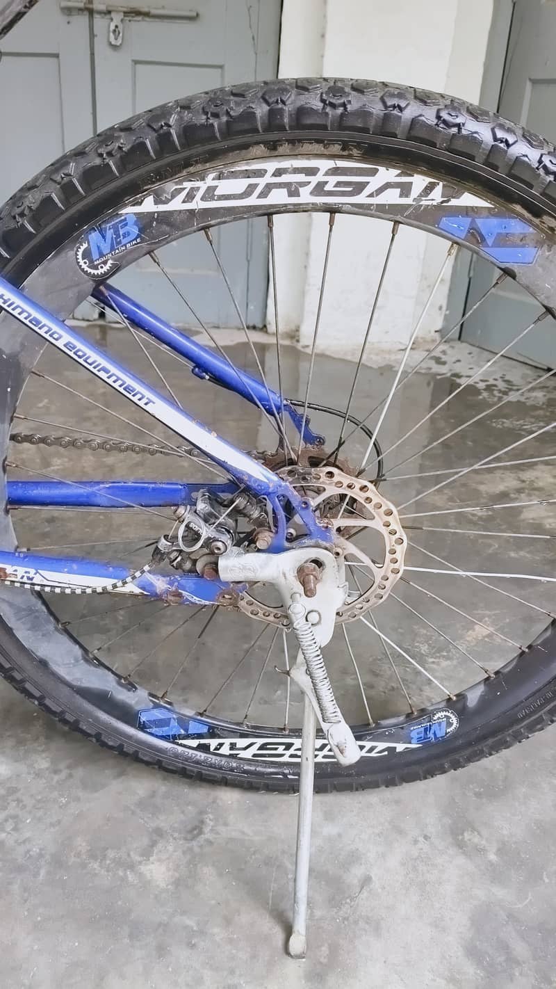 Morgan Cycle 5