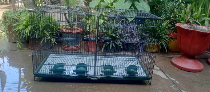 pet cage