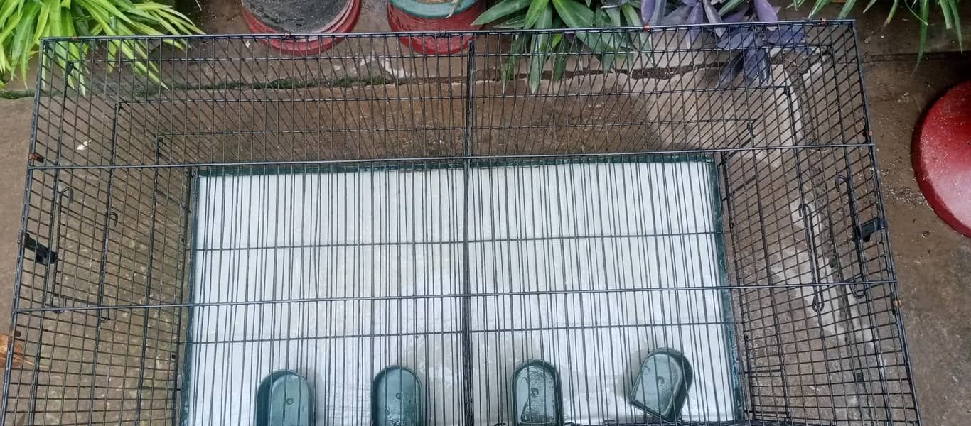 pet cage 1