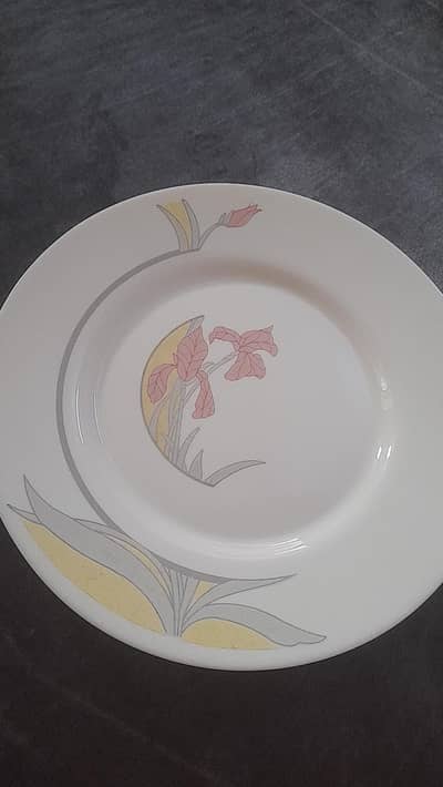 Marble Dinning plates/ Rice plates