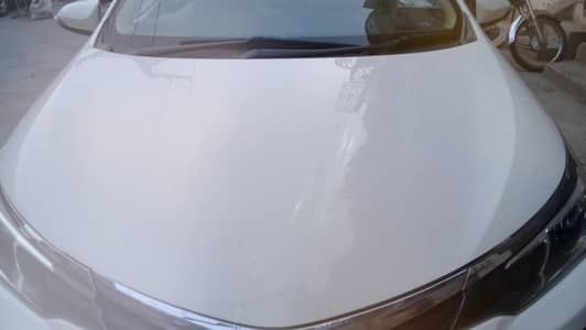 Toyota Corolla GLI 2019