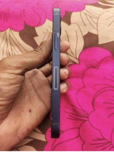 Apple iPhone 12 mini