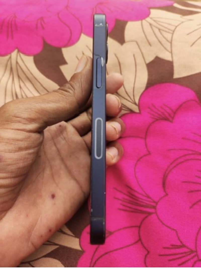 Apple iPhone 12 mini 0