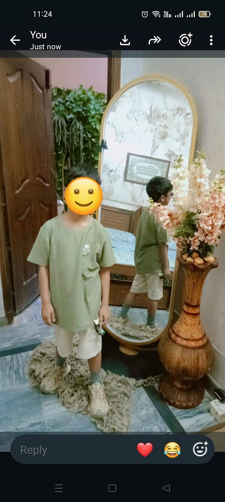rotating standing mirror 1