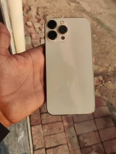 Apple iPhone 13 Pro Max