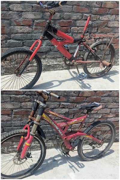 Two Bicycles for Sale (Project Bikes)