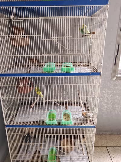 CAGE FOR SALE