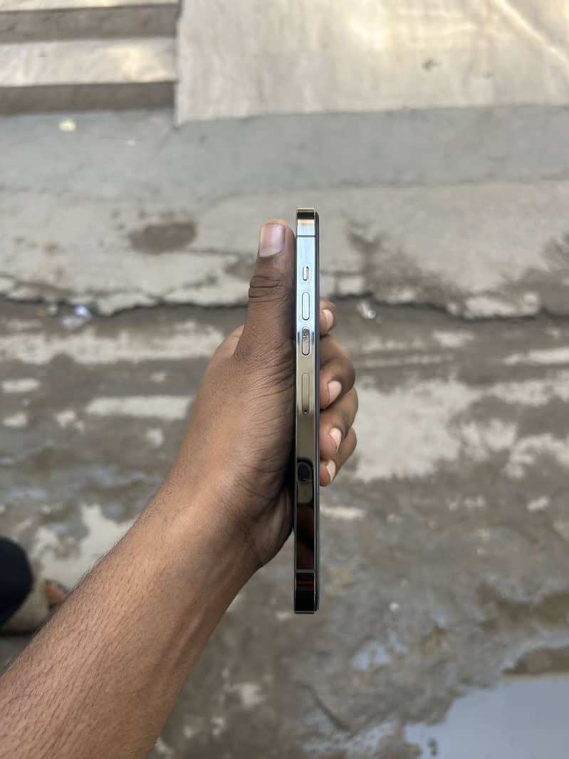 Apple iPhone 13 Pro Max 4