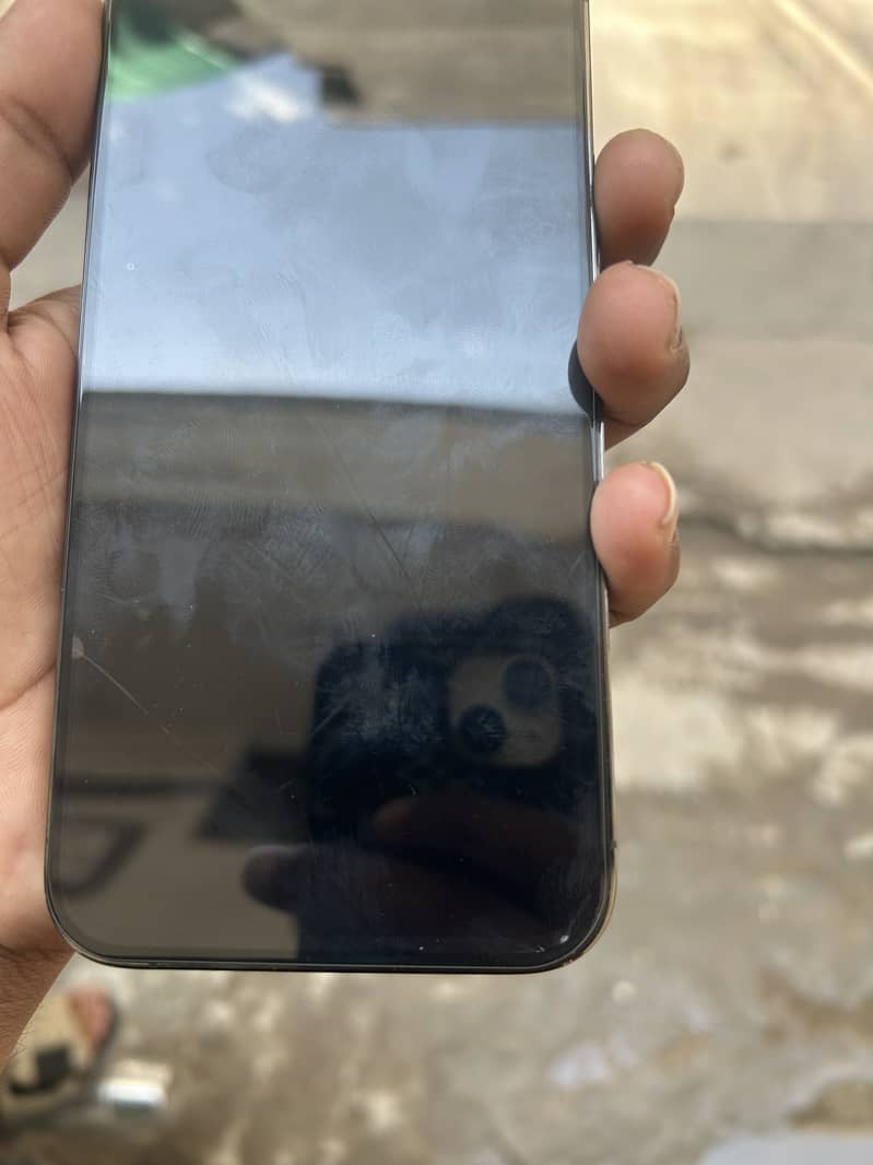 Apple iPhone 13 Pro Max 6