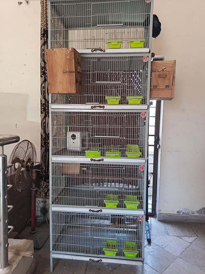 Heavy cage full angle 0