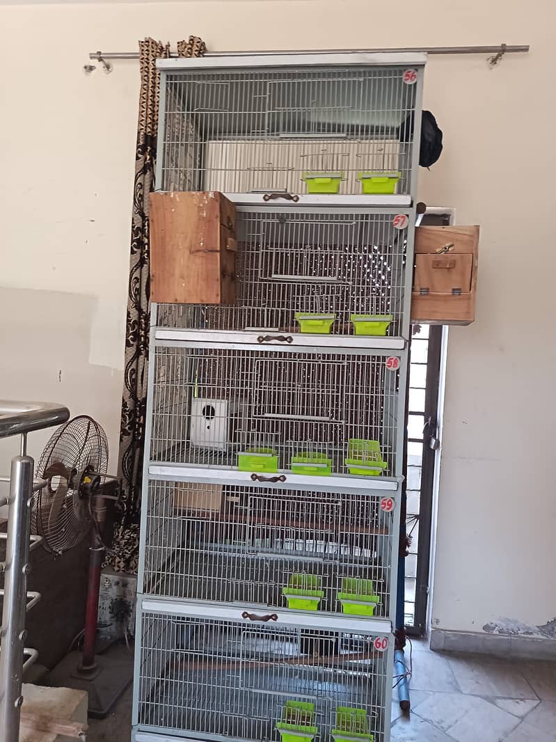 Heavy cage full angle 1