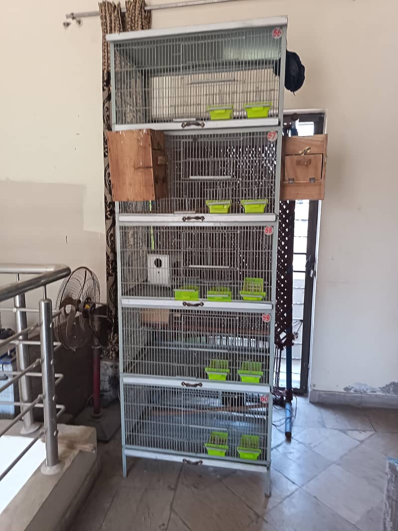 Heavy cage full angle 2