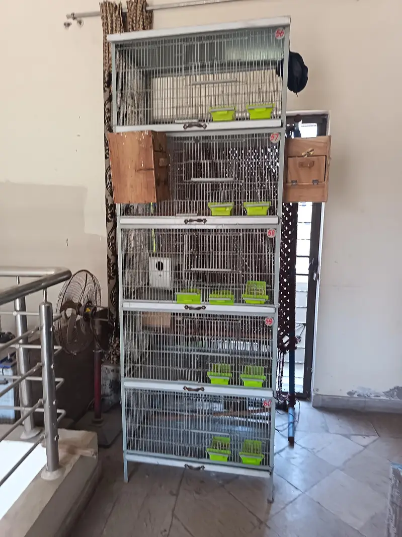 Heavy cage full angle — photo 3