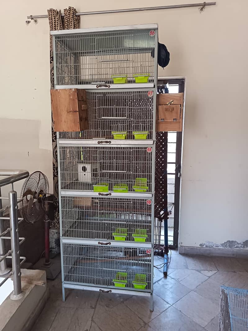 Heavy cage full angle 3