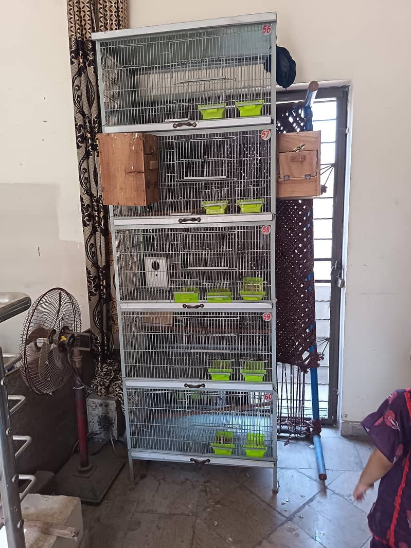 Heavy cage full angle 4