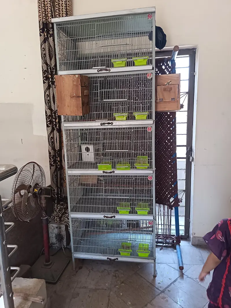 Heavy cage full angle — photo 5