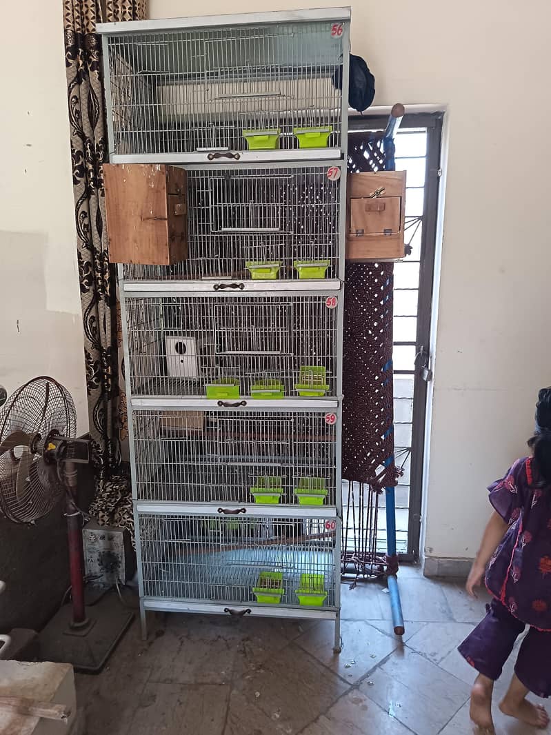 Heavy cage full angle 5