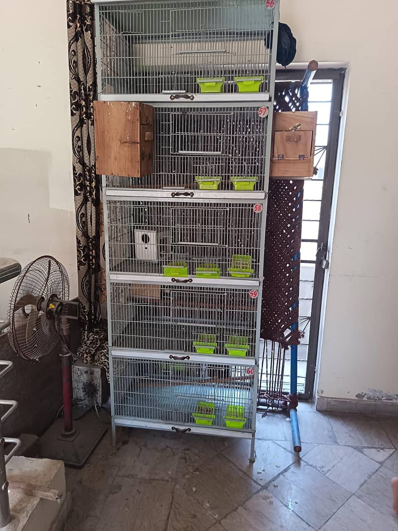 Heavy cage full angle 6