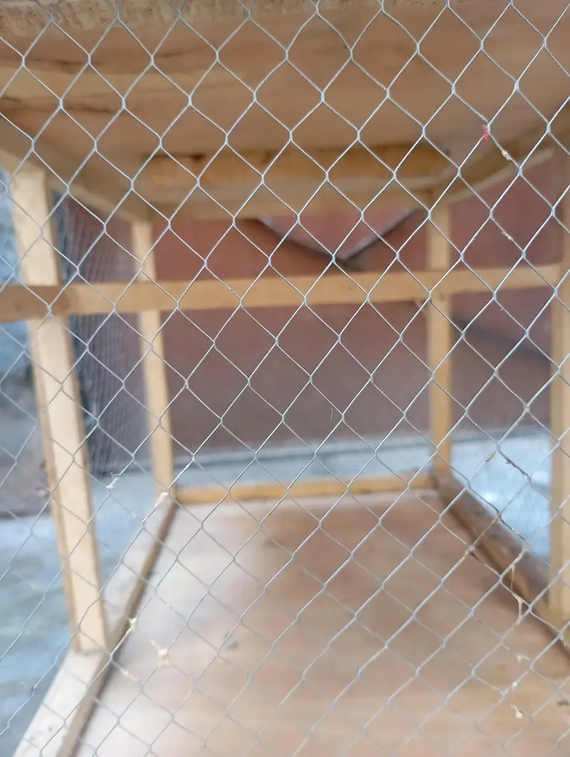 JUST ONE TIME USED CAGE — photo 5