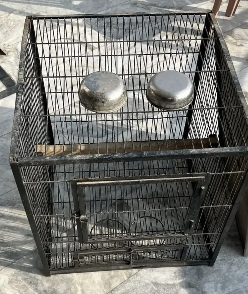 Raw parrot cage — photo 2