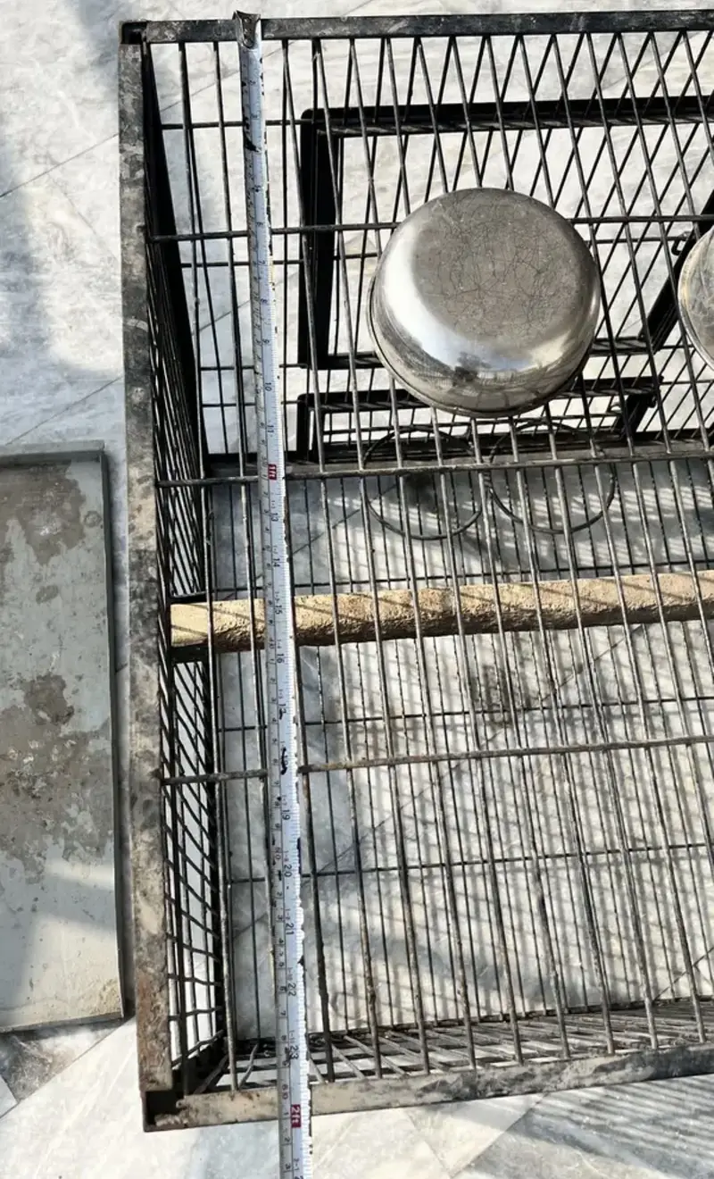 Raw parrot cage — photo 3