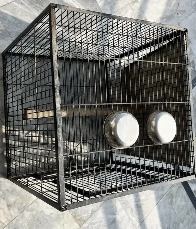 Raw parrot cage — photo 4