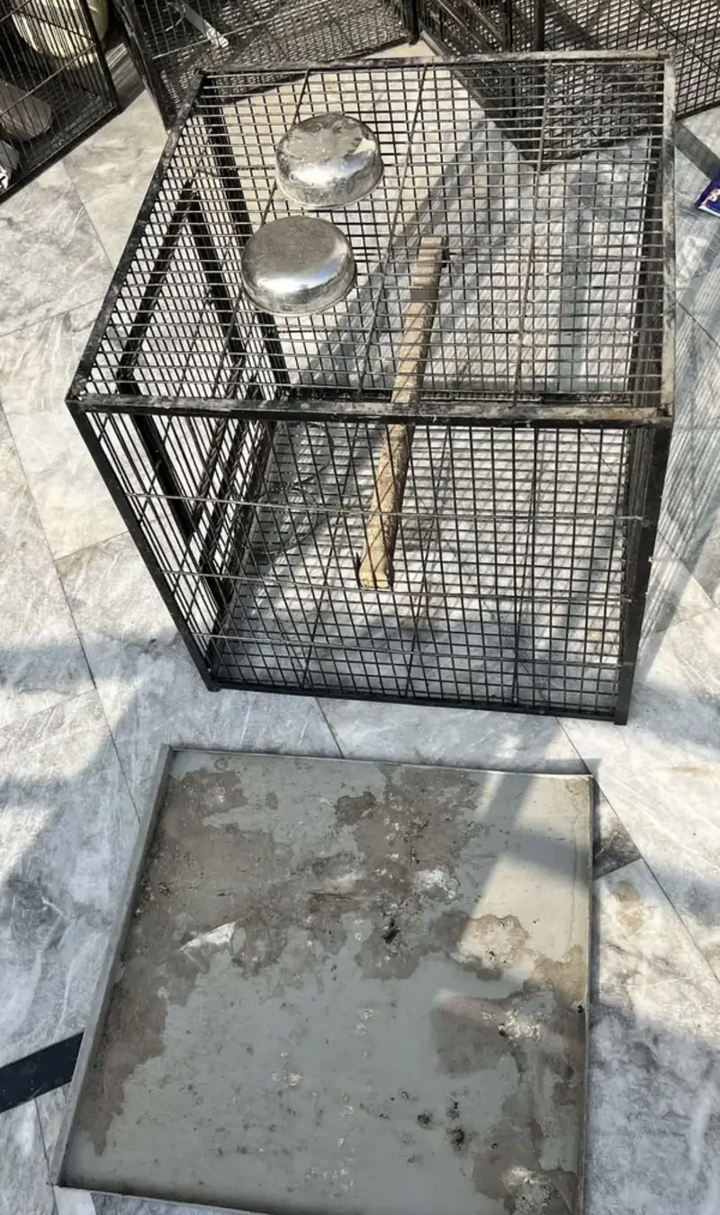 Raw parrot cage — photo 5