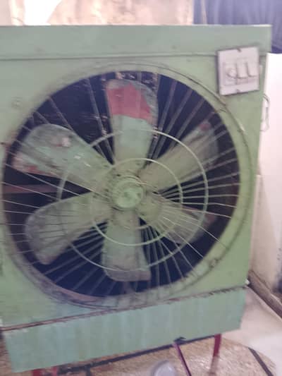 Lahori color