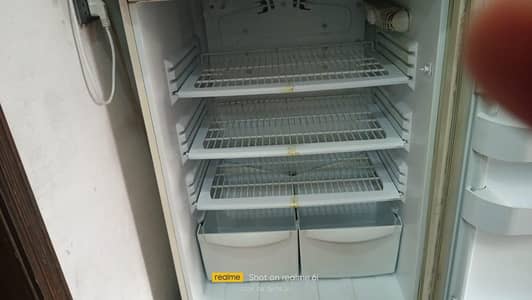 PEL Double Door Refrigerator - Clean Interior & Excellent Cooling