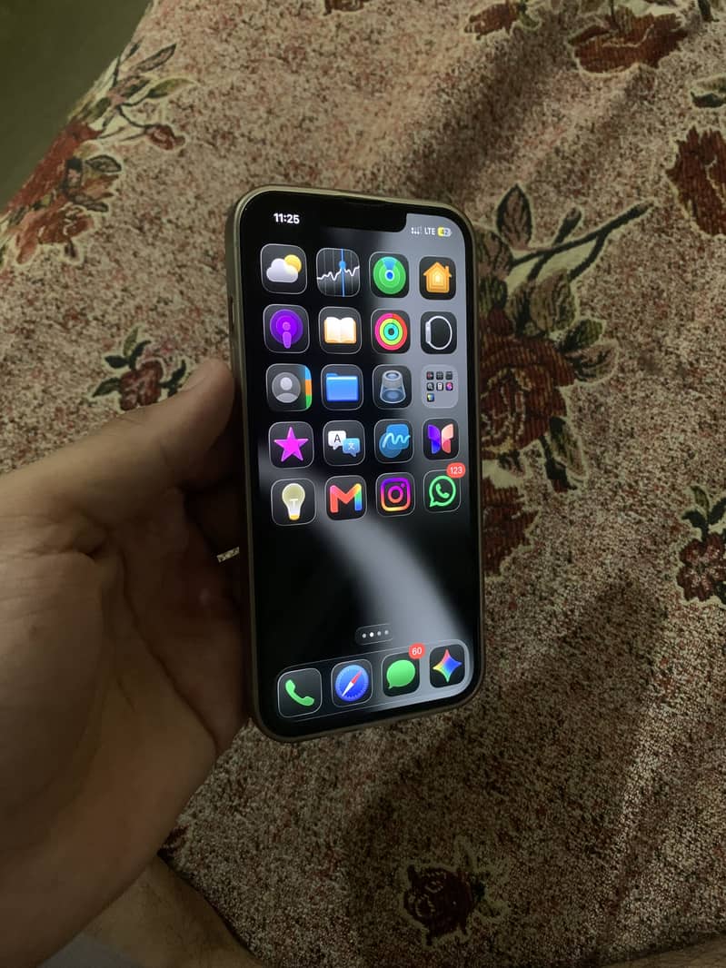 Apple iPhone 13 Pro 1