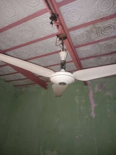 millat fan urgent sell