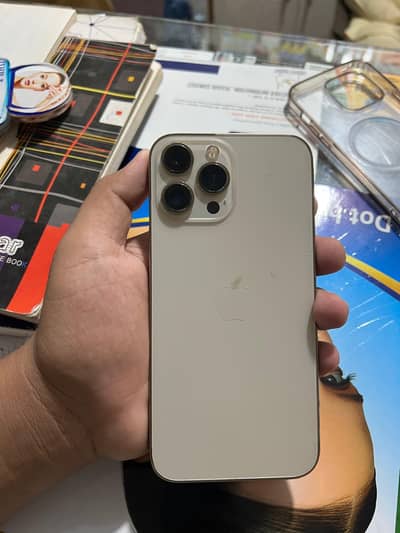 Apple iPhone 13 Pro Max