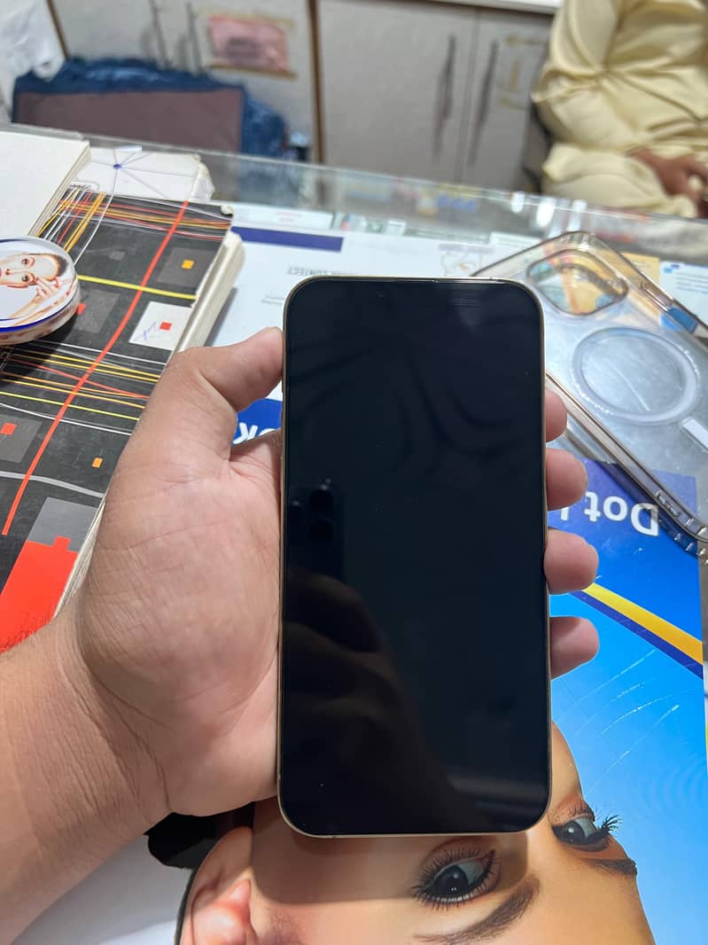 Apple iPhone 13 Pro Max 7