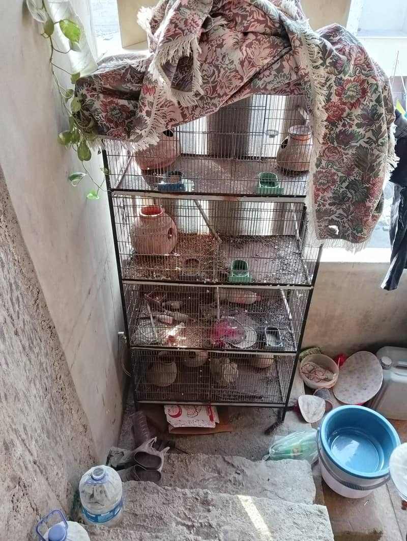 7 portion cage 2