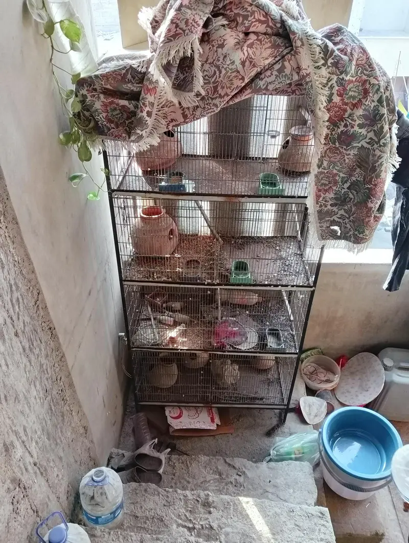 7 portion cage — photo 3