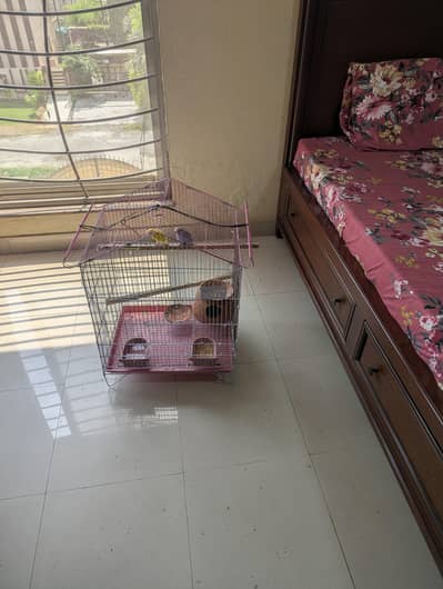 Pair for sale