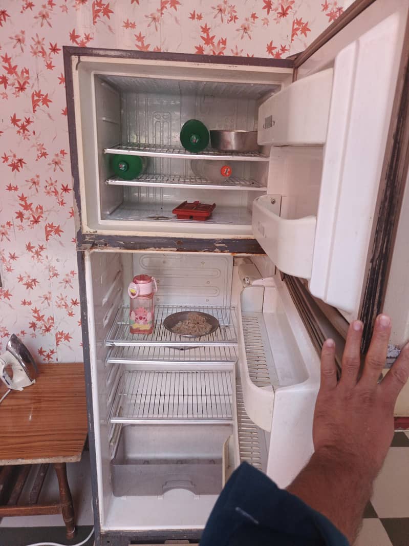 freezer 1