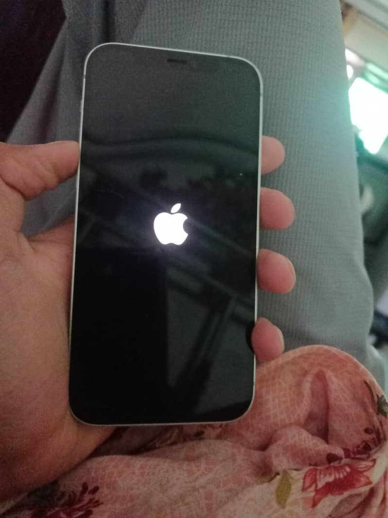 Apple iPhone 12 1