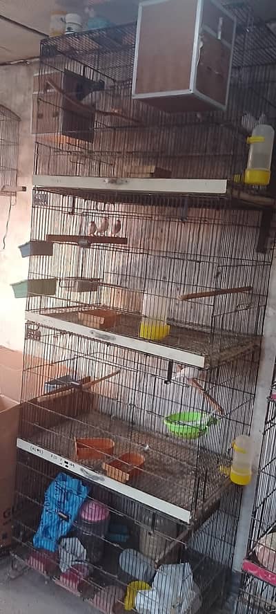 Folding cages &Breading boxes  for love birds