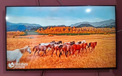 Haier 43" K66FG Plus 4K LED TV